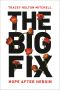 [The Big Fix 01] • The Big Fix